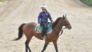 両親ともにGI馬の超良血馬 ルメール騎手を背に今週末初陣