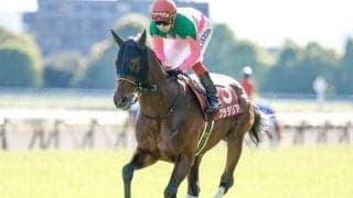 【AI予想・新潟記念】近年波乱傾向強まるサマー2000シリーズ最終戦！ 本命候補は新潟外回りに高い適性示す3頭