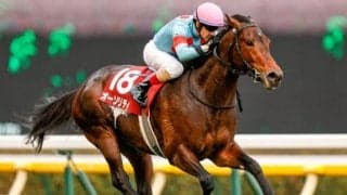 【先週のJRA抹消馬】重賞4勝馬オーソリティ、ダートで活躍したサンダーブリッツなど