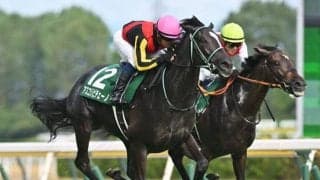 父ダイワメジャーは2歳戦に強い 新潟2歳S覇者アスコリピチェーノも該当