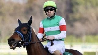 2023凱旋門賞（G1）の勝馬投票券発売…スルーセブンシーズが出走予定