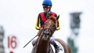 【札幌2歳S想定騎手】ガイアメンテは武豊騎手、ギャンブルルームは松山弘平騎手