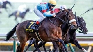 【新潟記念想定騎手】サリエラはC.ルメール騎手、ノッキングポイントは北村宏司騎手