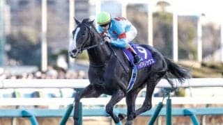 一流馬を輩出する名種牡馬「ヘイロー」 日本向きのスピードを受け継ぐ配合パターンとは？