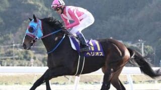 【佐賀・サマーチャンピオン枠順】悲願の重賞初制覇に挑むヘリオスは4枠4番、重賞連勝狙うレディバグは7枠9番