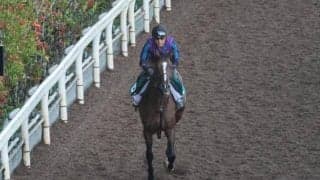 インザモーメントなど、先週のゲート試験/栗東トレセンニュース