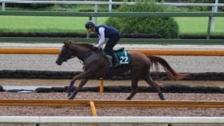 エヴァンスウィートなど、先週の入厩情報/栗東トレセンニュース