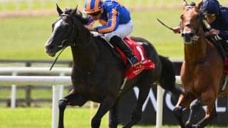 ディープインパクト産駒オーギュストロダンは来月愛G1へ 調教師が今年の引退示唆