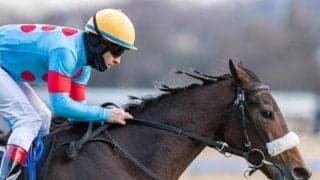 兄はGIウイナー、姉は有馬記念2着の超良血 新潟記念で待望の重賞制覇なるか