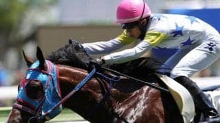 ビッグな重賞初Vなるか 前走516kgの大型馬が小倉2歳Sに参戦