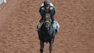 【新潟記念展望】夏競馬を締めくくるサマー2000最終戦、ベテランに妙味あり