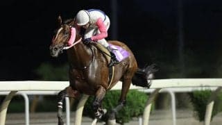 【水沢・すずらん賞】マイネルアストリアが3馬身差V…高橋悠「スタッフの調整が最大の勝因」