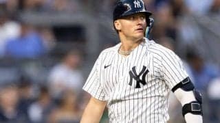 【MLB】ヤンキース、通算276発ドナルドソンを放出　15年MVPも打率.142と不振…球団発表