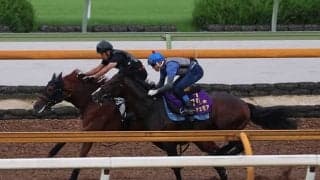 ドルチェモア、セントウルS1週前追い切り速報/栗東トレセンニュース