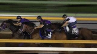 ファントムシーフ、神戸新聞杯に向けて始動/栗東トレセンニュース