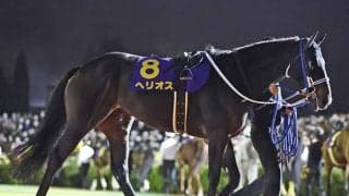 【佐賀競馬】初のナイター開催のサマーチャンピオン 佐賀の夜に栄冠を掴むのはどの馬か
