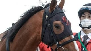 アスクビクターモアやスキルヴィングの名前も！「アイドルホースオーディション2023」ファイナリスト8頭が決定