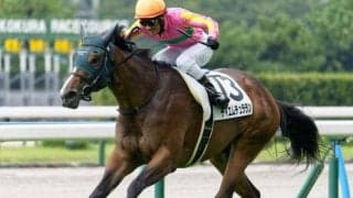 25年ぶりの九州産馬Vなるか 小倉2歳Sにひまわり賞覇者が参戦