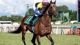 新潟記念との相性は抜群 昨年2着の8歳馬が2度目の制覇狙う