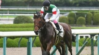 【小倉2歳S展望】スプリント路線の出世レース、前走の上がりに注目