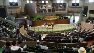 史上最高の売り上げ記録 サマーセールに連日の熱気