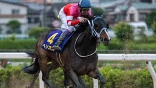 OP3勝も重賞は2着5回 7歳セン馬が悲願の初タイトルへ/佐賀・サマーチャンピオン注目馬