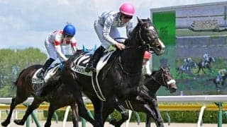 セレクト1億9000万円のディープインパクト産駒がインターネットオークションに出品