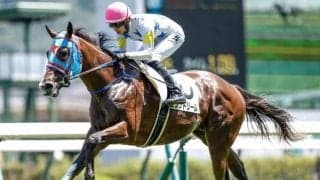 【小倉2歳S出走馬・騎手確定】ビッグドリーム＆幸英明騎手、キャンシーエンゼル＆松山弘平騎手など10頭