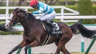 小さな体に大きな力 異色のアイドルホースが丹頂Sで母仔制覇へ