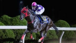 【サマーチャンピオン】サンライズホークが鮮やかな逃げ切り…人気のヘリオスは5着