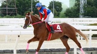 【園田・若駒賞】マミエミモモタローが7馬身差V…川原「将来性を感じた」