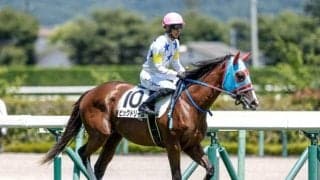 【小倉2歳S枠順確定】ビッグドリームは7枠7番、キャンシーエンゼルは5枠5番
