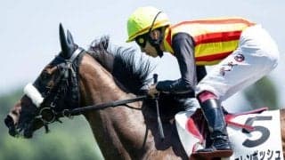 名牝を詰めこんだ超良血馬 サフラン賞で連勝狙う