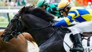 馬場傾向から土曜日に狙いたい3頭 タフな札幌芝はロジルーラーの出番