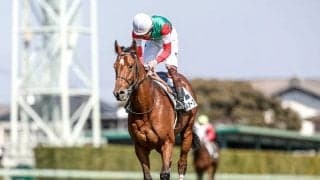 2着7回、3着3回の堅実派 3歳未勝利のラストチャンスで“今度こそ”