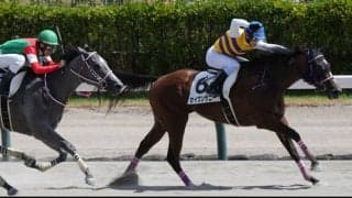 【新馬/新潟6R】リーチザクラウン産駒 セイウンサニーがデビューV