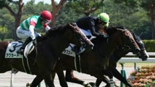 【新馬/新潟5R】ニューイヤーズデイ産駒 ベストオブユーがデビューV…JRA初勝利