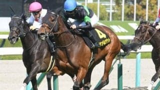【紫苑S想定馬・騎手】グランベルナデット、ヒップホップソウルなど16頭