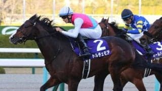 【セントウルS想定馬・騎手】ドルチェモア、ピクシーナイトなど17頭