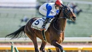 【今日の注目ポイント】出世の登竜門・札幌2歳S、新潟10Rで無傷連勝中のロードデルレイ復帰など