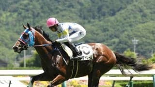 小倉２歳Ｓで期待の2頭「日本競馬史に残る名スプリンター」の血統と兄姉にコース実績のある素質馬