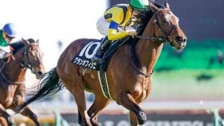 【新潟記念予想】3連単10万円超の高額配当が続出！ 暑さの続く夏の新潟で激走する馬とは