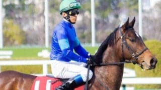 【土曜小倉7R予想】待望のスプリント戦でバースクライが決める