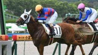 【小倉5R新馬戦結果】4番人気のカルチャーデイが鋭く差し切りデビューV！