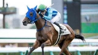 【札幌5R新馬戦結果】6番人気のスプリングノヴァが逃げ切ってデビューV