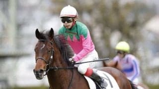 【新潟記念予想】今年は凡走馬の巻き返しも!? 前走2000m戦組が活躍する夏のハンデ重賞