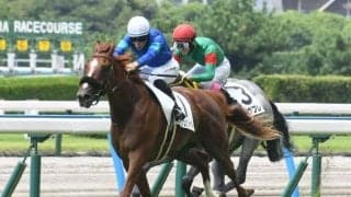 【小倉2歳S予想】少頭数でも波乱の可能性!? 同じ系統でも異なる種牡馬毎の産駒適性