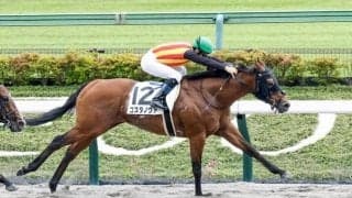 【両津湾特別予想】砂で無敗のコスタノヴァ 昇級不問で連勝伸ばす