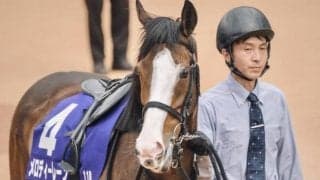 馬場傾向から日曜に狙いたい3頭 札幌メインはメロディーレーンの復活Vだ