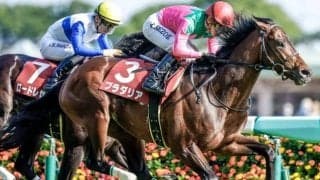 【AI予想・新潟記念】相手弱化で勝機到来！ 初志貫徹の本命馬は力量確かな重賞勝ち馬